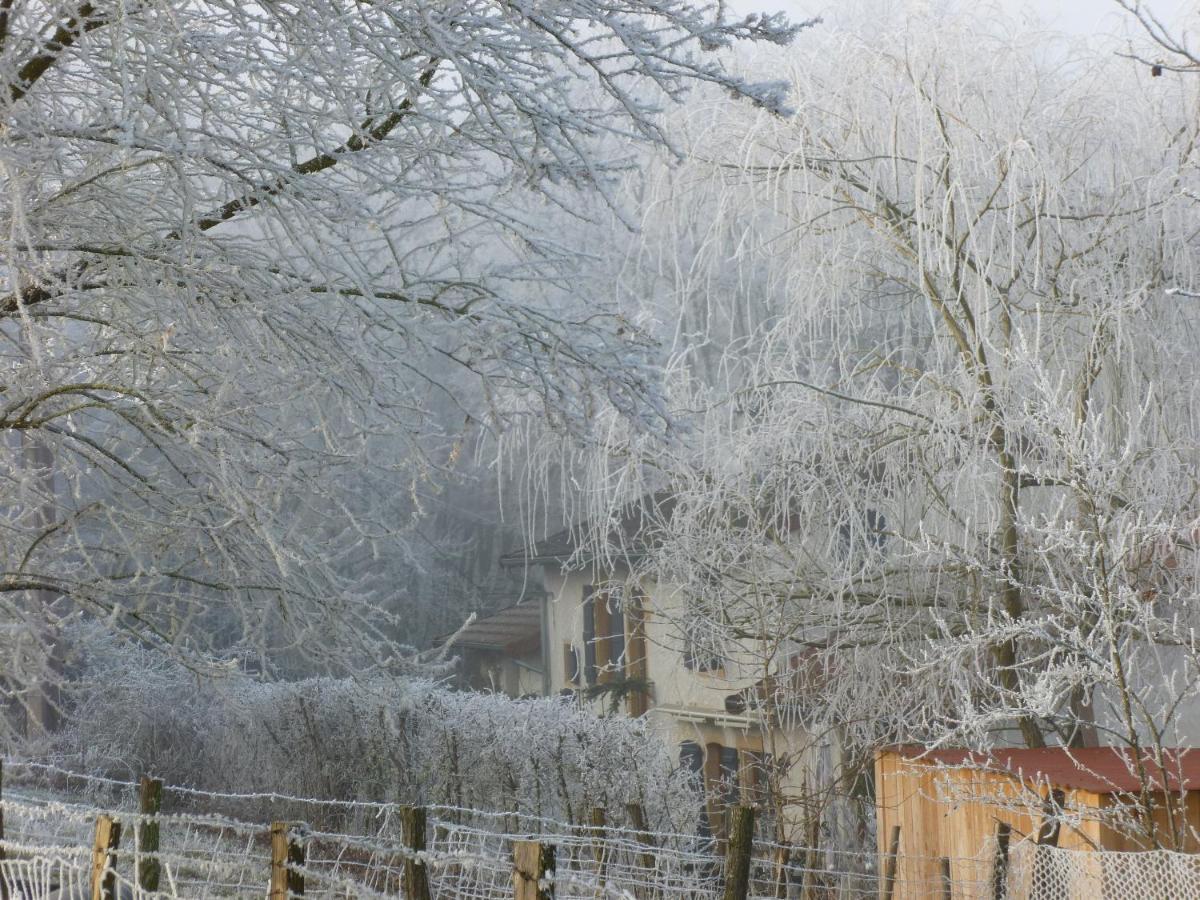 La Bergerie Du Bois Joannin Gasthof